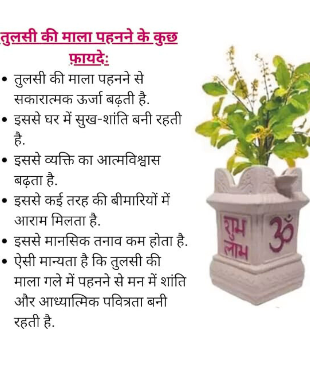 🕉️ Shree Hanuman Tulsi Kanthi Mala – Protection & Blessings